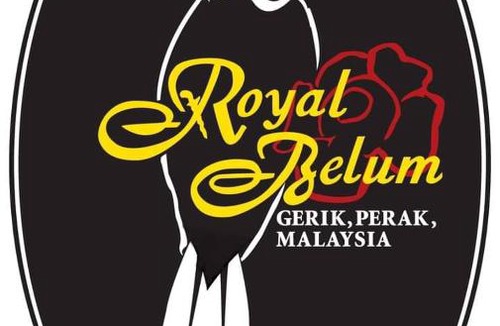 Temenggor Boat Rental | Royal Belum Mystical
