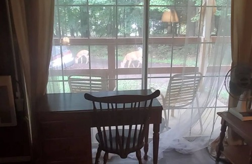 Gouldsboro House | Royal Studio Suite