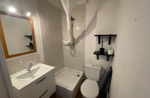 Le Chemin Vert Apartment | Roza, Studio proche centre ville