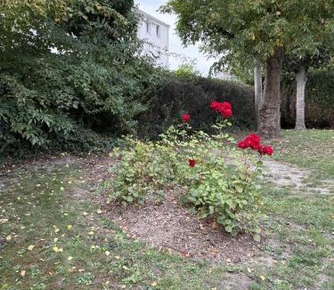 Armentieres Apartment | Rozenhof