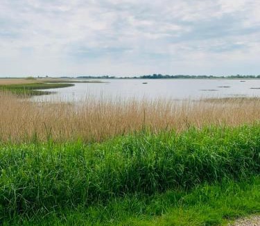 Rudbøl Other | Rudbøl Naturcamping