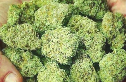 Claremore House | Rude munie Empire