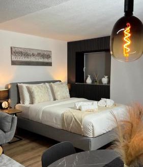 Mutschellen Apartment | Ruheoase Widen Garten & Pool Zug 30m