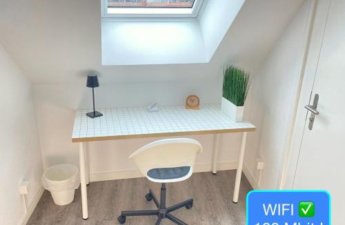 St. Gallen Apartment | Ruhige, neue Dachwohnung an Altstadt, nähe Messe