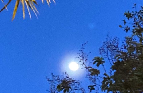 Kampung Permatang Sireh Ski Chalet | Rumah Ali Kayu