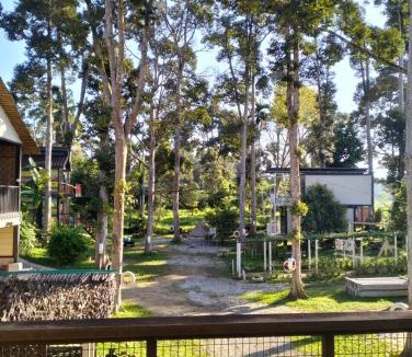 Kampung Kuala Kenas Hotel | RUMAH MD2 D'RUMAH BONDA RIVER VIEW Kuala Kangsar