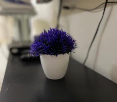 Bandar Kota Bharu House | RumaTamu Desa Telipot