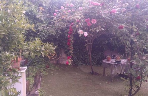 Jarandilla de la Vera Cottage | Rural Apartments La Vera for 2 people