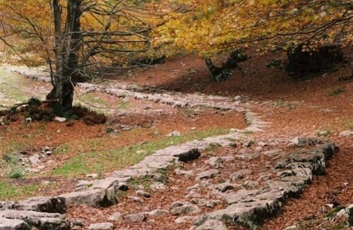 Zegama Cottage | Rural apartment Arrieta Haundi for 4 people