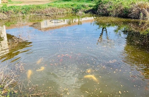 Astarac Arros en Gascogne Cottage | Rural Gite