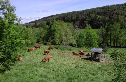 Rivel Cottage | Rural gite, own garden,on sunny Smallholding in quiet valley, with private pool