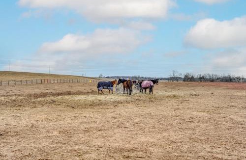 Ladiesburg House | Rural & Historic Detour Escape w/Horses On-Site!