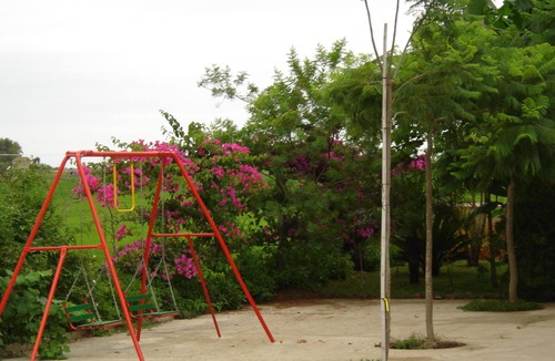 Sant Jaume d'Enveja Apartment | RURAL HOUSE IN EL DELTA DEL EBRO