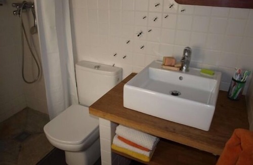 La Fueva Cottage | Rural house (full rental) La Borda de Formigales