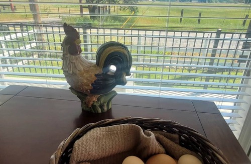 Lincoln House | Rural Lincoln Tiny House - country feel with fast freeway access