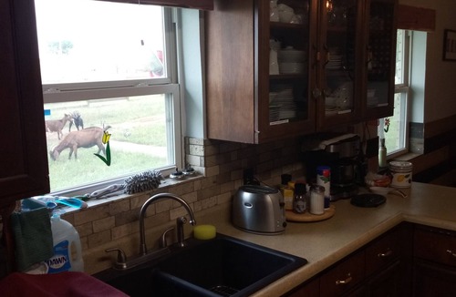 Dublin Bed & Breakfast | Rural Oasis - Murphy's Private Room & Shared Bathroom