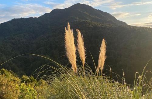 Waikino Villa | Ruru PurePod