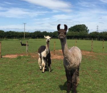 Coalpit Heath Apartment | Russet