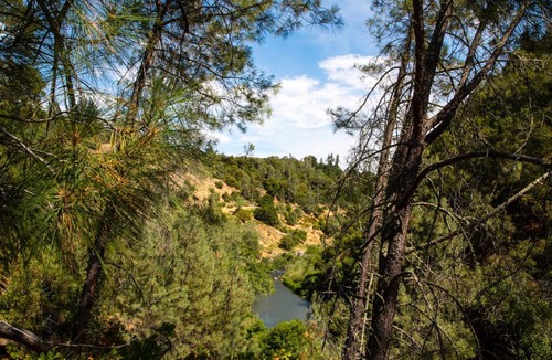 Cloverdale Resort | Russian River Camping Resort Studio Cabin 4