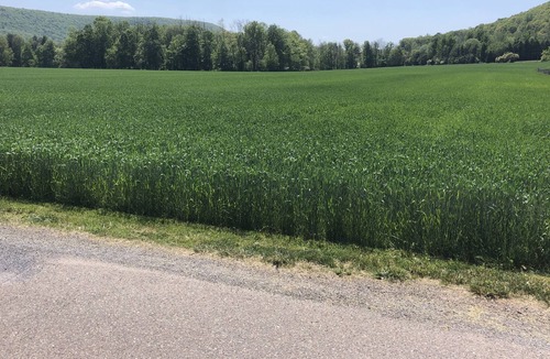 Beach Haven Other | Rustic 1970 Farm House Experience