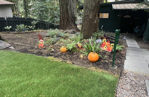 Sandy Cabin | Rustic and Relaxing.