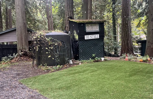 Sandy Cabin | Rustic and Relaxing.