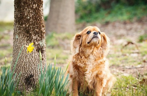 Wooragee Cottage | Rustic beauty and modern comforts