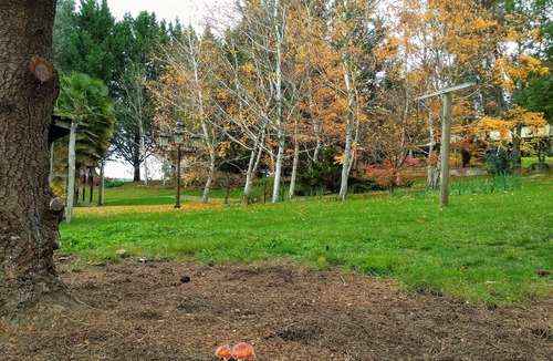 Wooragee Cottage | Rustic beauty and modern comforts