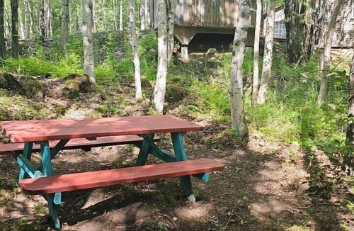 Houston House | Rustic Bunk #5