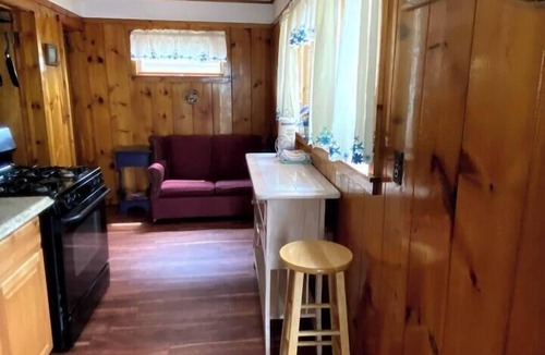 Beach Lake Cabin | Rustic Cabin #5 on Private Lake!