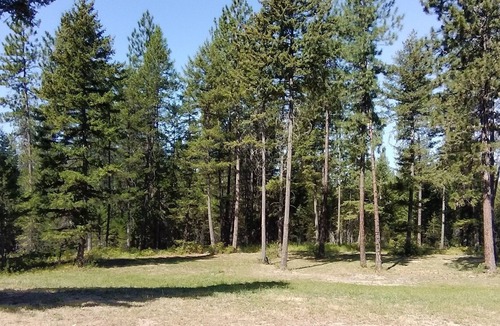 Chewelah Cabin | Rustic Cabin and Camp Spot