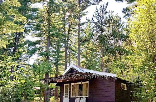 Wilmington Ski Chalet | Rustic Cabin in beautiful environment under Pine Trees