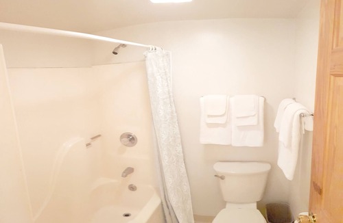 Wilmington Ski Chalet | Rustic Cabin in beautiful environment under Pine Trees