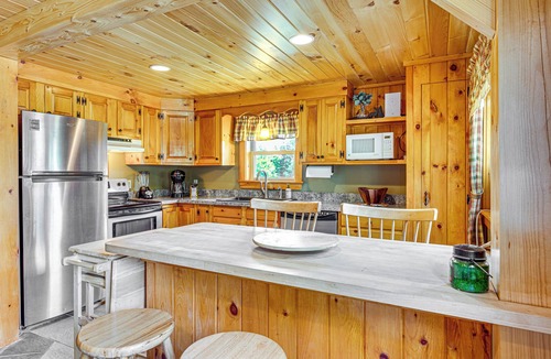 Walden Cabin | Rustic Cabin in West Danville w/Deck & Fire Pit!
