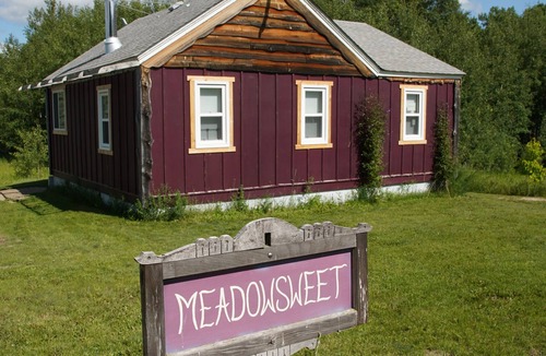 Erickson Cottage | Rustic cabin near RMNP with screened-in deck, meadow view, and wood stove