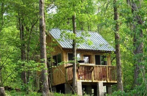 Hartshorn Cabin | Rustic Cabin Rental with Stunning Forest Views in the Ozarks, Missouri