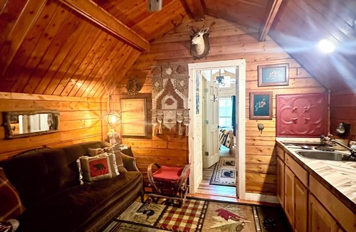 Cosby Cottage | Rustic cabin, tin roof, forest getaway!