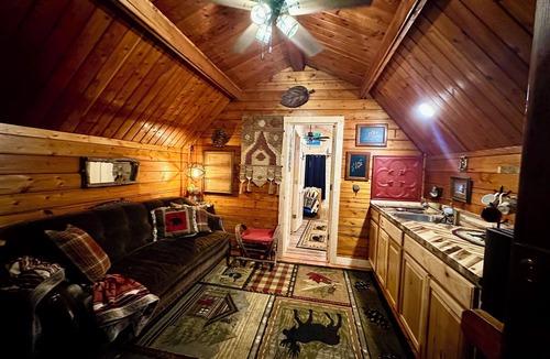Cosby Cottage | Rustic cabin, tin roof, forest getaway!
