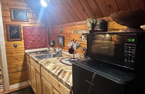 Cosby Cottage | Rustic cabin, tin roof, forest getaway!