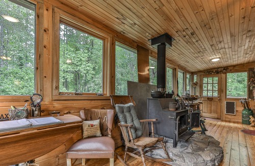 Ellijay Cabin | Rustic Cabin trout fishing, dog loving, beach area on secluded 8.5 acres! 001504