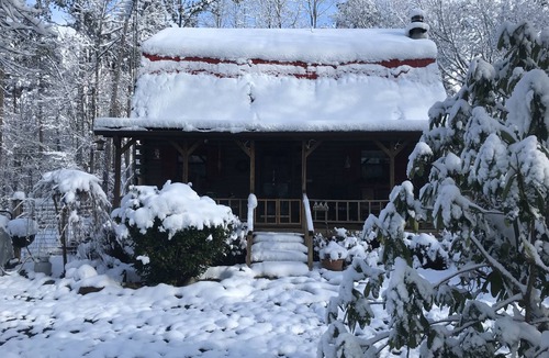 Ellijay Cabin | Rustic Cabin trout fishing, dog loving, beach area on secluded 8.5 acres! 001504