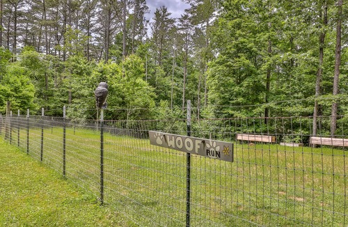 Ellijay Cabin | Rustic Cabin trout fishing, dog loving, beach area on secluded 8.5 acres! 001504