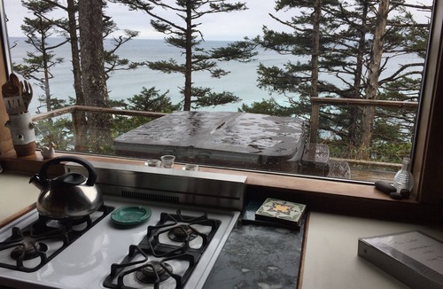 Arch Cape Cabin | Rustic Cabin with Spectacular Ocean View