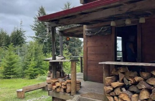 Bunker Hill Cabin | Rustic Cabin Wrap-around View