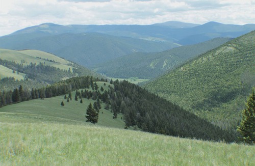 Canyon Creek Cabin | Rustic Cayuse Cabin - Remote Getaway