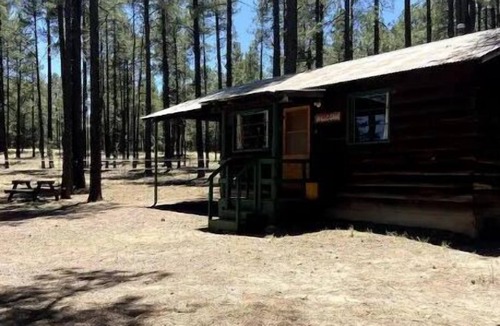 Alpine Cabin | Rustic Charm Cabin in the tall pines, Alpine AZ #4