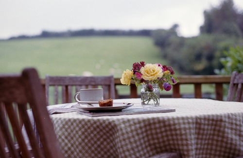 Minehead Cabin | Rustic-Chic Cabin on Exmoor with Hot Tub