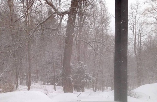 Monticello Cabin | Rustic Chic hidden Gem in the Southern Catskills