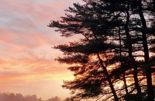 Monticello Cabin | Rustic Chic hidden Gem in the Southern Catskills