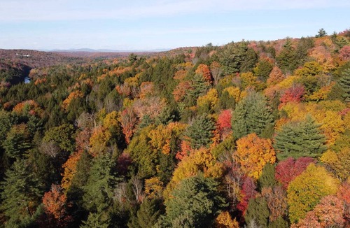 Monticello Cabin | Rustic Chic hidden Gem in the Southern Catskills